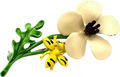 60s Enamel Flower & Bee Brooch