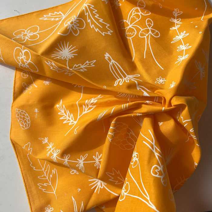 Sarofox: Bandanas