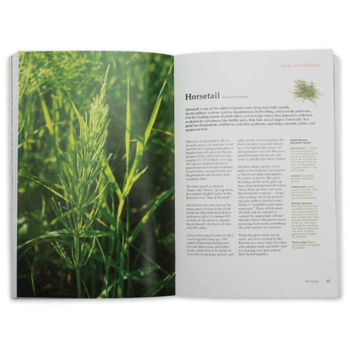 Backyard Medicine Handbook