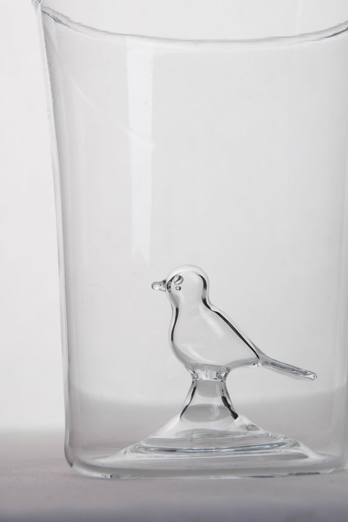 Bird Glass Cup