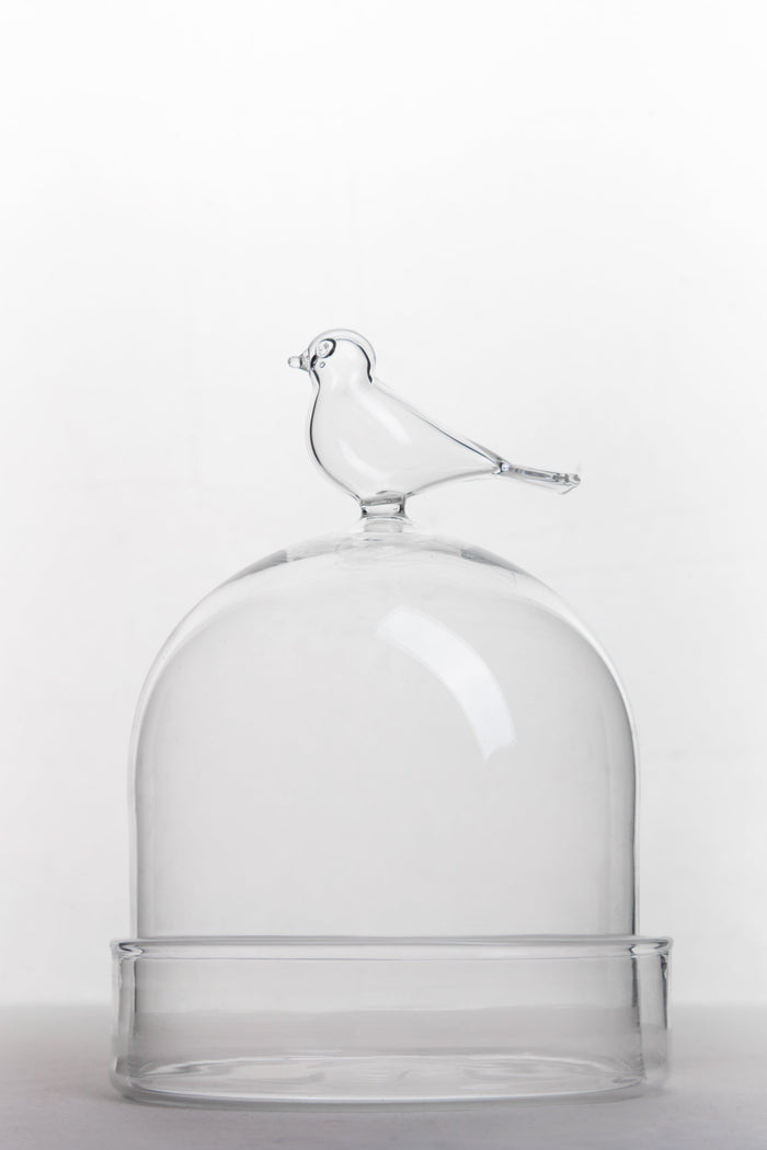 Bird Glass Dome