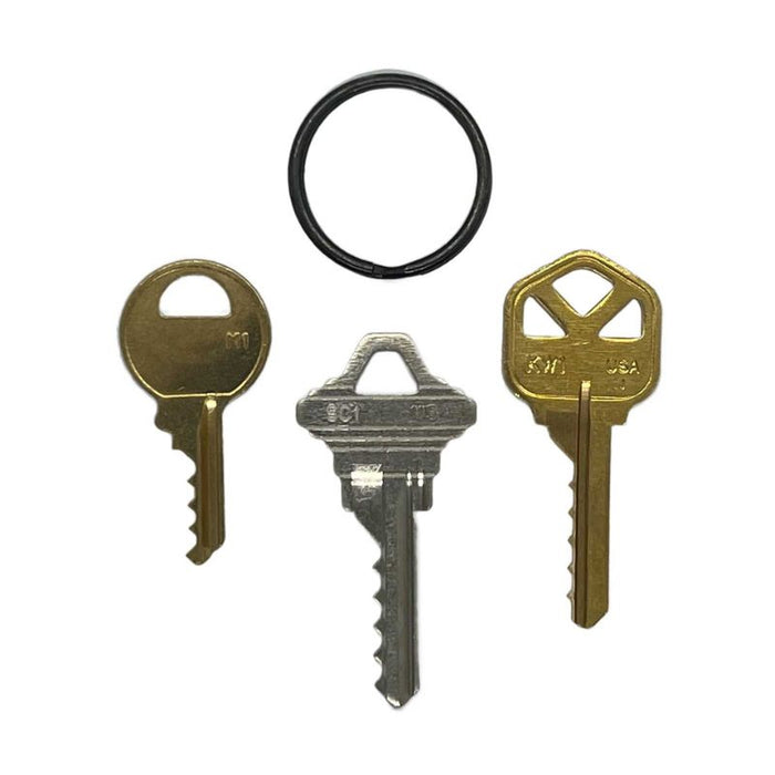 Three keys and a key ring on a white background