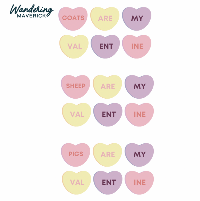 CANDY HEARTS - CHOOSE YOUR ANIMAL – Infant/Toddler/Youth