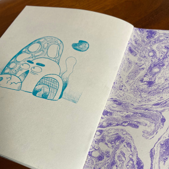Corner Bodega Publishers: Zines