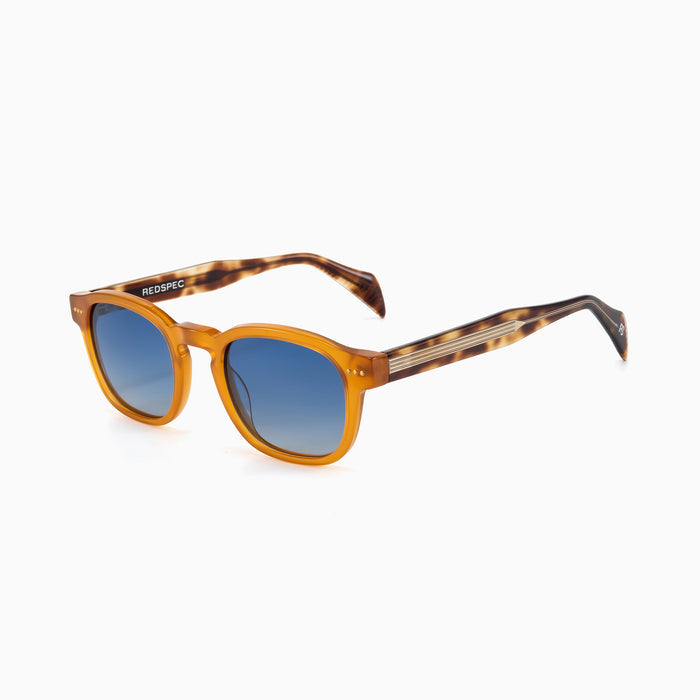 #color_Orange Tortoise