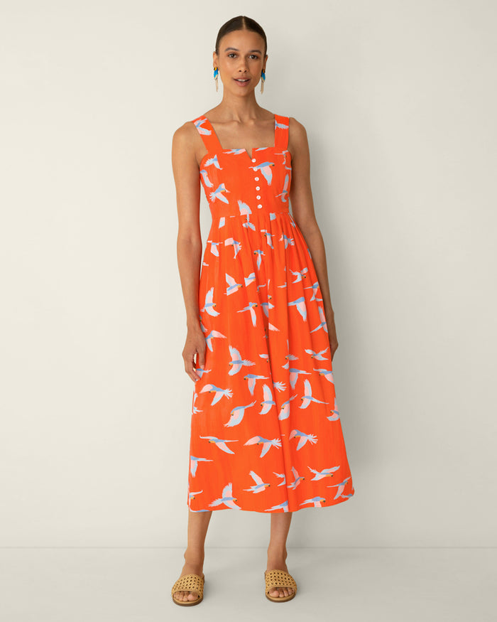 Esme Midi Dress in Parrot Print