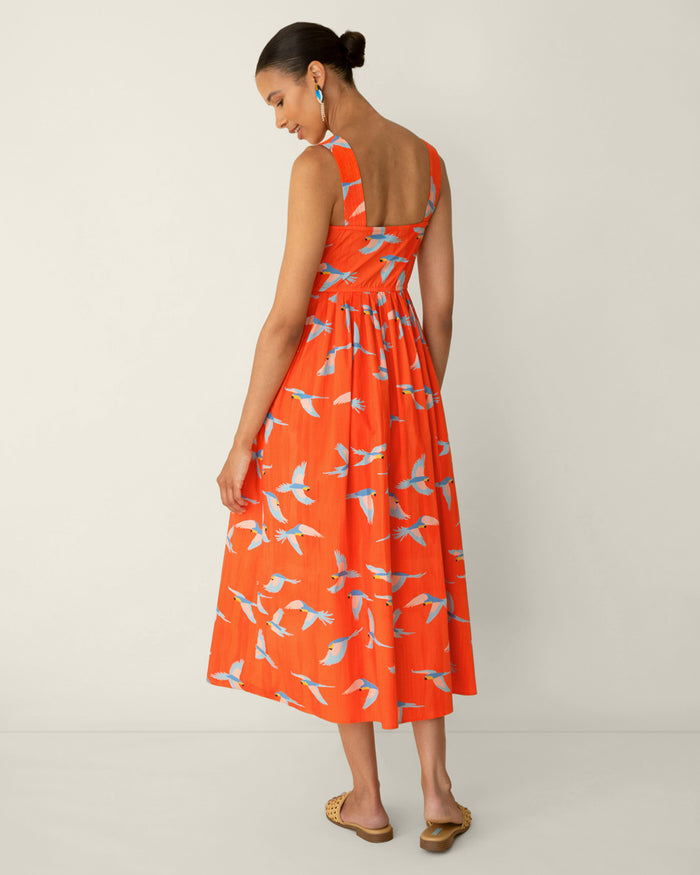 Esme Midi Dress in Parrot Print