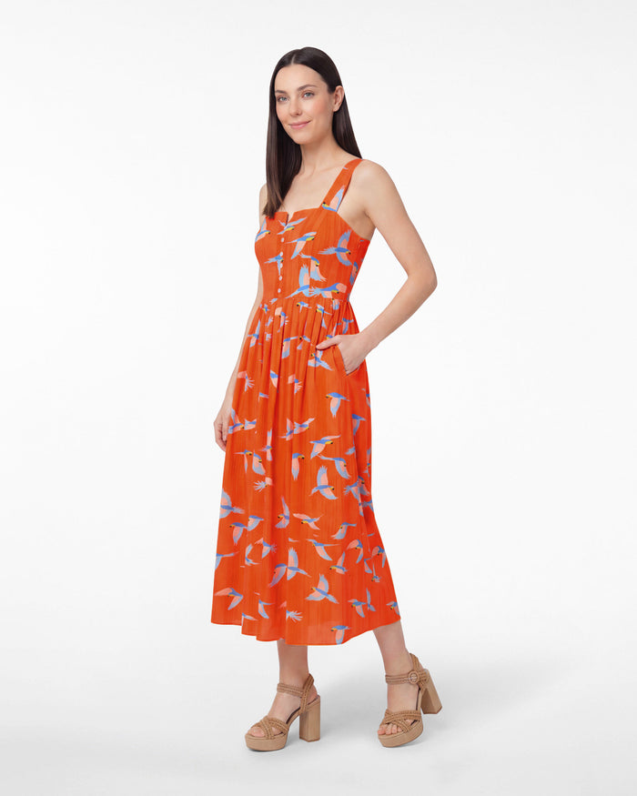 Esme Midi Dress in Parrot Print