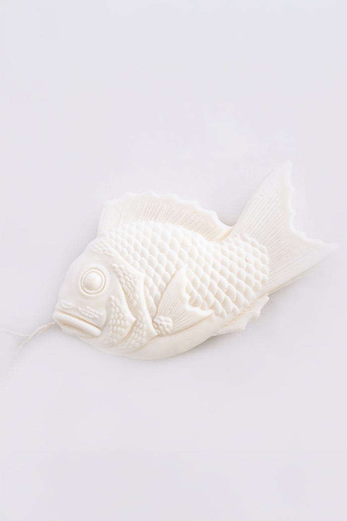 Fish Soap