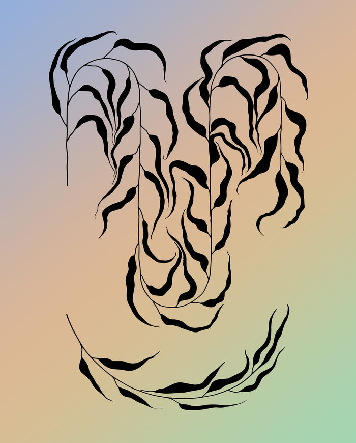 Hills & Holler: Prints