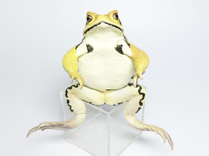 Japan Japanese common toad Frog Toad PVC Figure Model Figurine 12cm (Yellow）