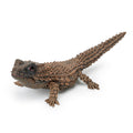 Japan Q Armadillo Girdled Lizard lizard PVC Action Figure model with joints (10cm) C