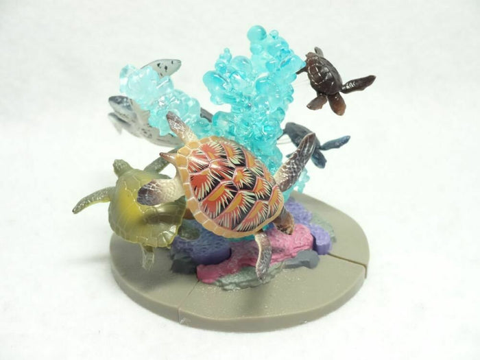 Japan Sea Turtle mini pvc fifure set 6 pcs Leatherback Hawksbill Loggerhead