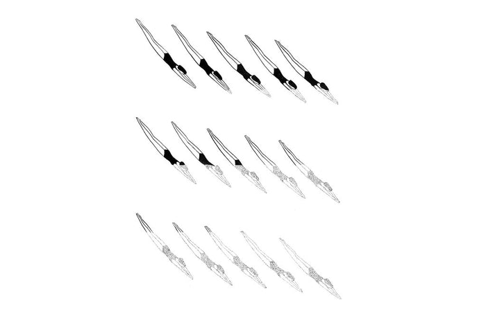 Kaye Blegvad: Prints