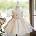 Lace Satin Flower Girl Dress With Bow Champagne J792