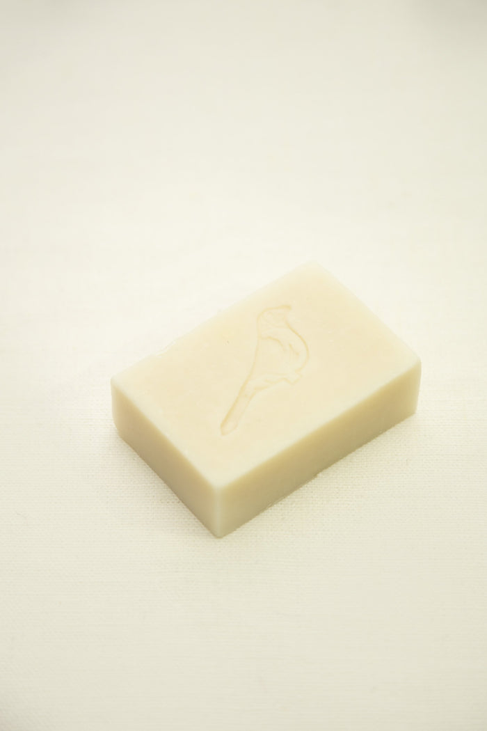 Lavender Soap Duo Set