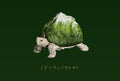 Mountain Turtle Star Tortoise PVC Model Figurine Figure