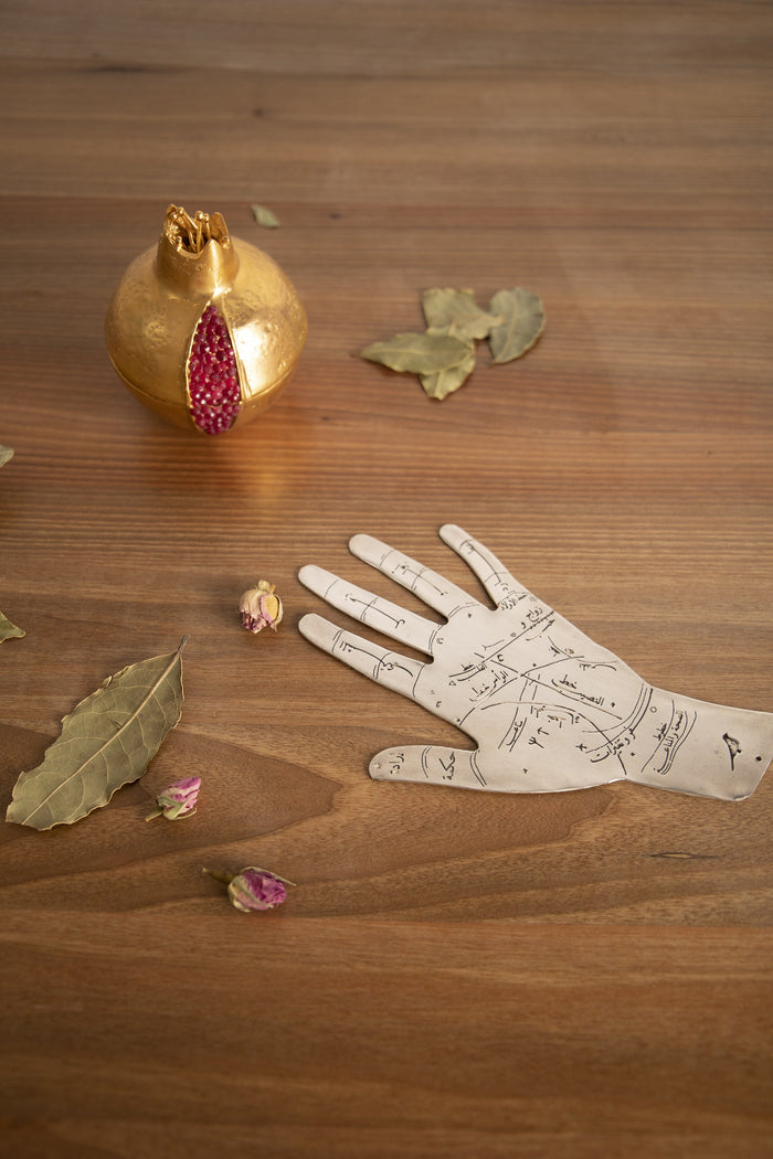 Palm Reader