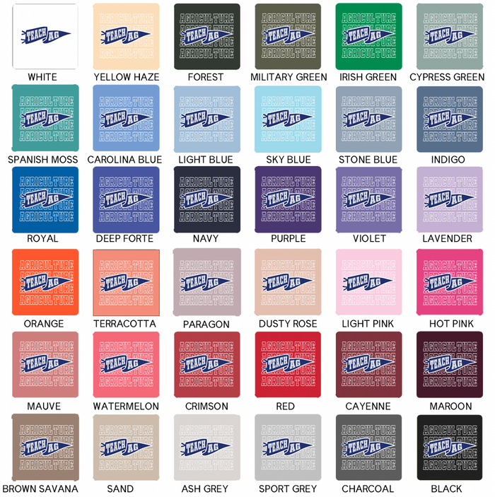 Pennant Teach AG– Crewneck