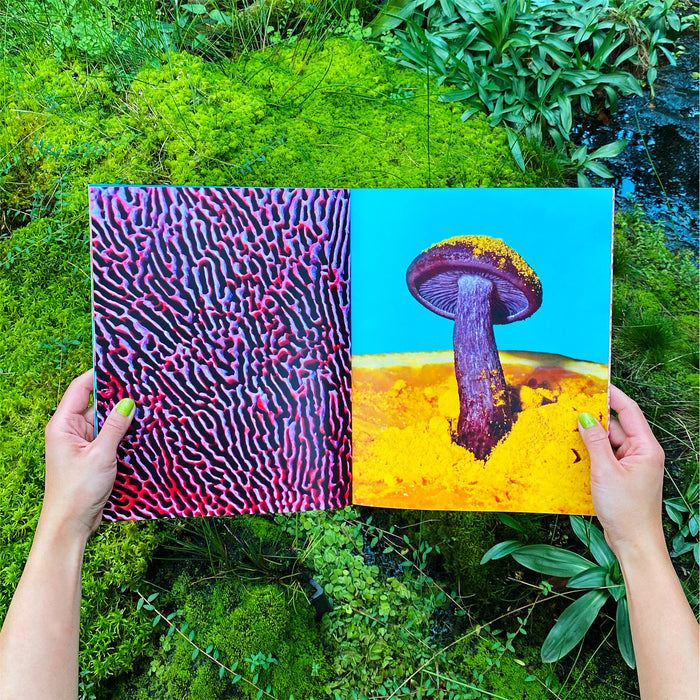 Phyllis Ma: Mushroom & Friends Zines