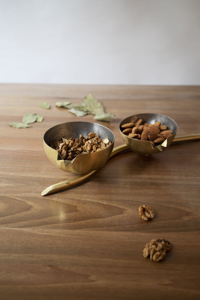 Pomegranate Brass Branch