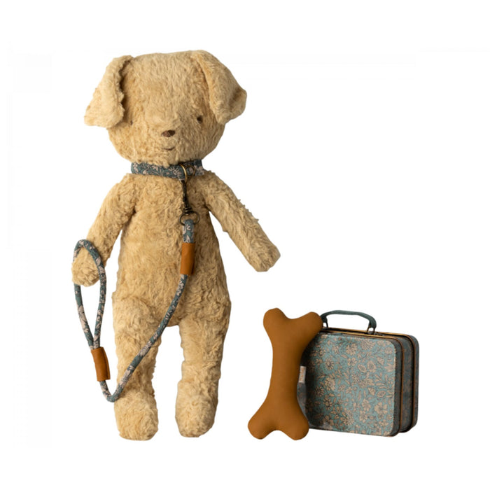 Puppy Supply,  Accessories
