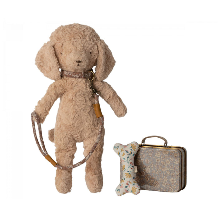 Puppy Supply,  Accessories