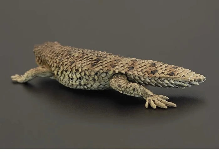 pygmy spiny-tailed skink Lizard PVC solid figure figurine model