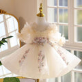 Shining Applique Embroidered Tulle Flower Girl Dress Champagne J533