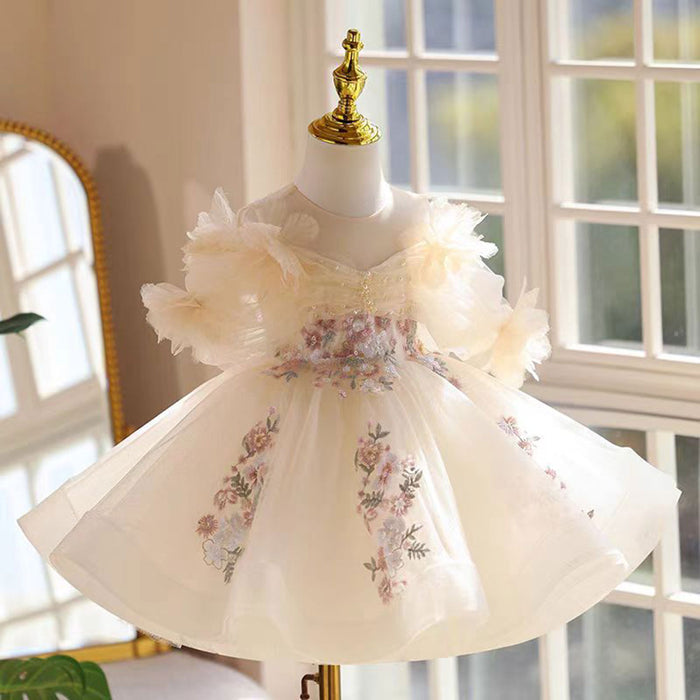 Shining Applique Embroidered Tulle Flower Girl Dress Champagne J533