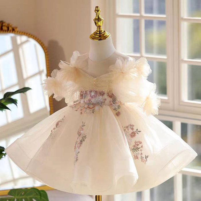 Shining Applique Embroidered Tulle Flower Girl Dress Champagne J533