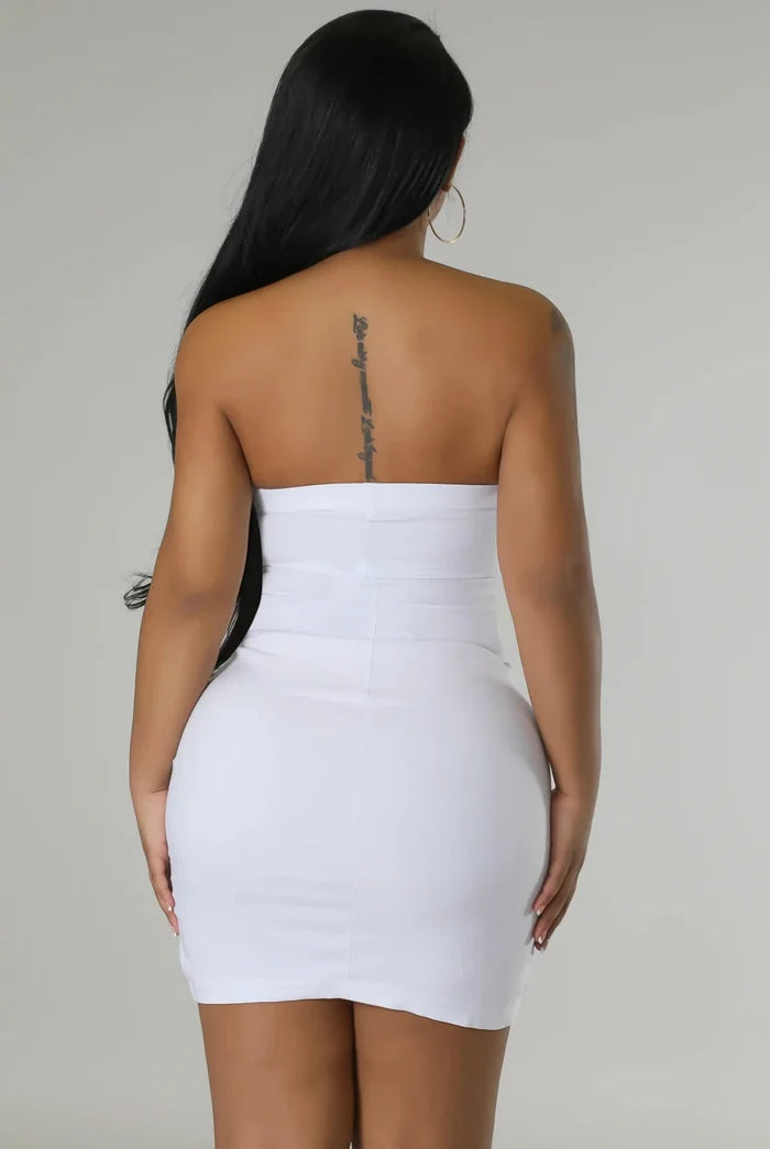 Special Delivery....Tube Front Zipper Mini Dress Good Time USA