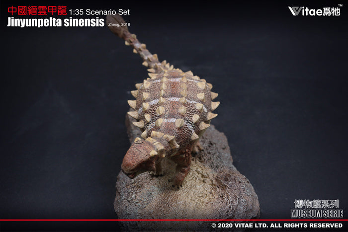 Vitae Museum Series Jinyunpelta sinensis dinosaur model figurine with platform 1:35
